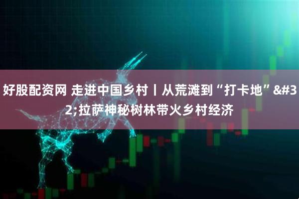 好股配资网 走进中国乡村丨从荒滩到“打卡地” 拉萨神秘树林带火乡村经济